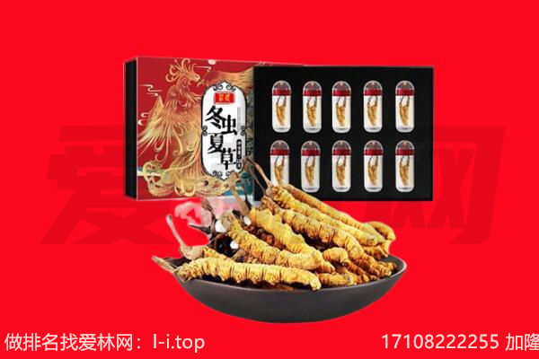 许昌魏都区回收虫草.jpg